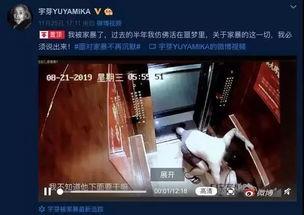 网红网友爆料视频大全最新,揭秘网络热点背后的真相  第2张