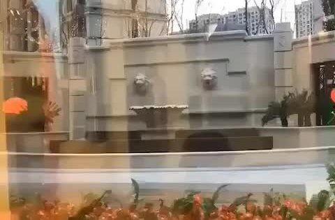 维也纳小区最新爆料大同,大同神秘事件真相揭晓  第2张